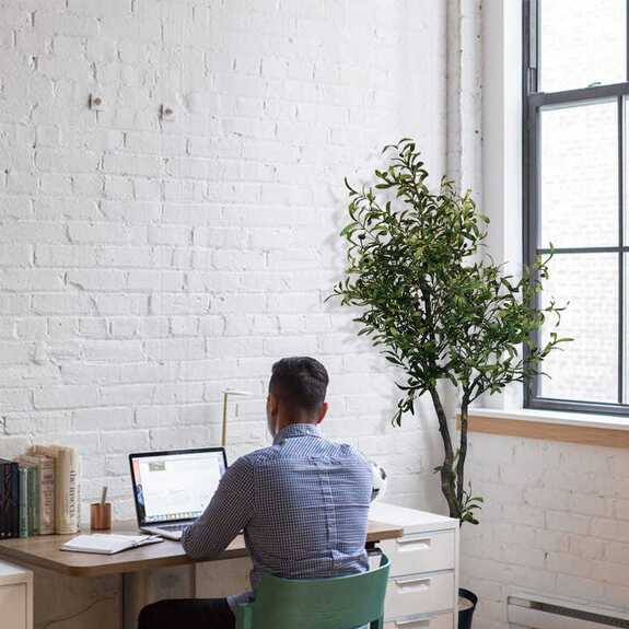 Umělý dekorativní strom - olivovník OLIVA GD4320