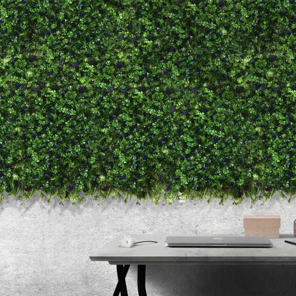 Vertikální zahrada Glicynia