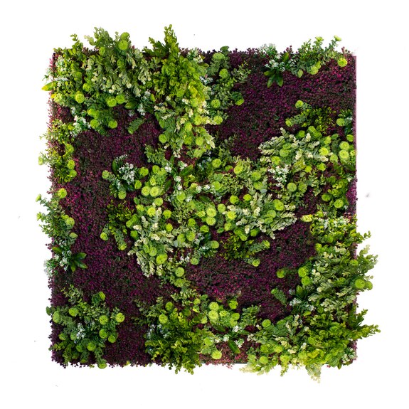 Vertikální zahrada Purple Haze