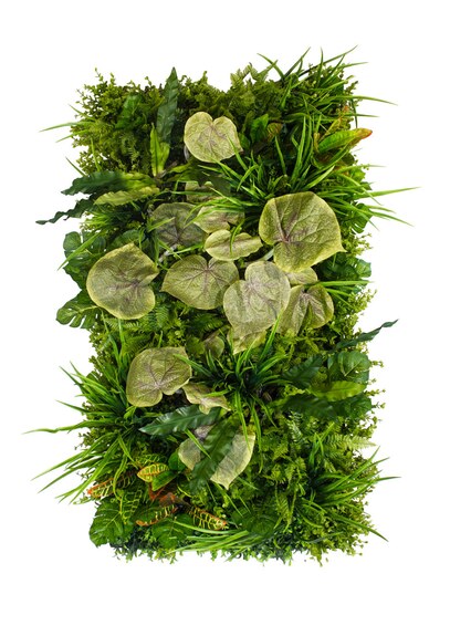 Vertikální zahrada Wetland