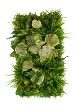 Vertikální zahrada Wetland