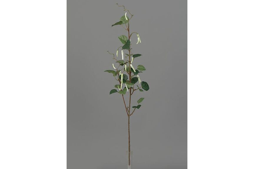 Větev břízy UKA045