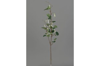 Větev břízy UKA045