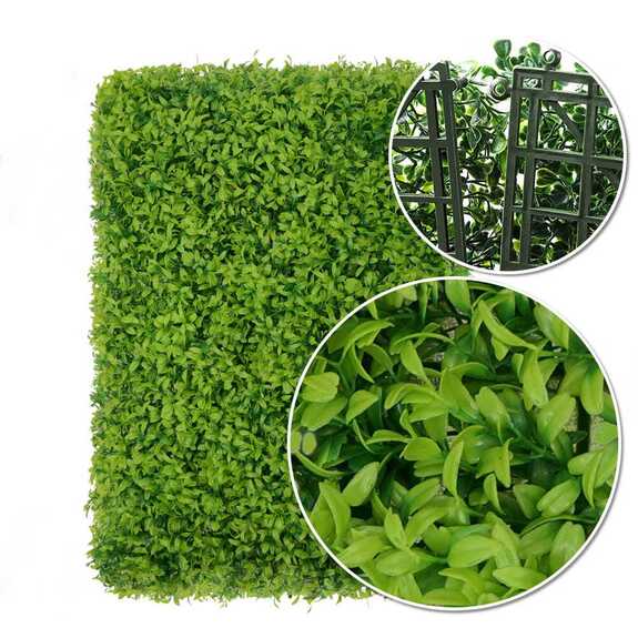 Vertikální zahrada Buxus