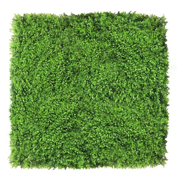 Vertikální zahrada Zmienka