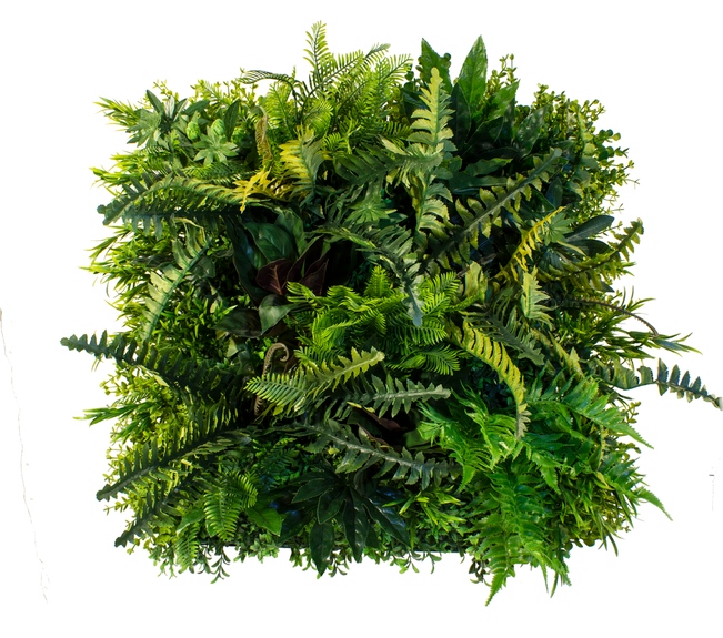 Umělá zelen na stěnu Painting with fern