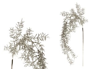 Asparagus převislý, stříbrná barva. NL0071-SIL cena za balení 6ks