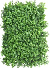 Vertikální zahrada Tuja