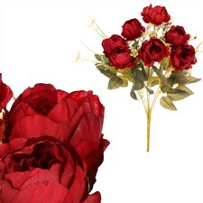 Puget Pivoněk KN6145