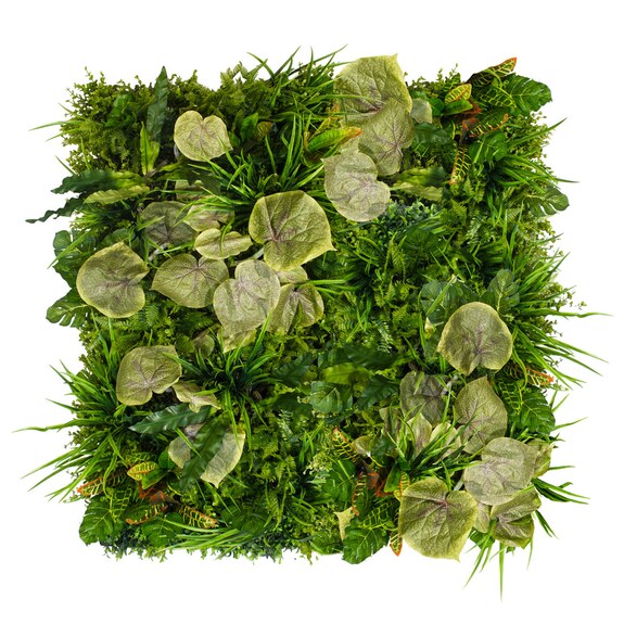 Vertikální zahrada Wetland