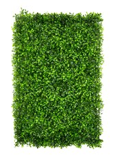 Vertikální zahrada Zelená třezalka