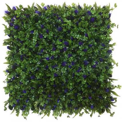 GD228_GLICYNIA_50x50cm.jpg