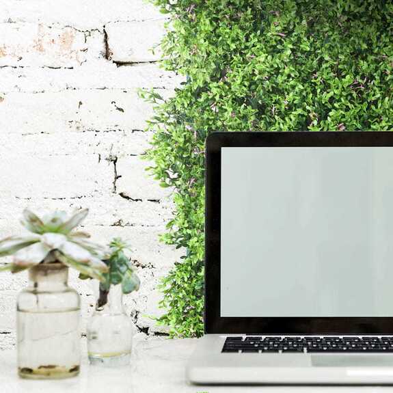 Vertikální zahrada Fumaria