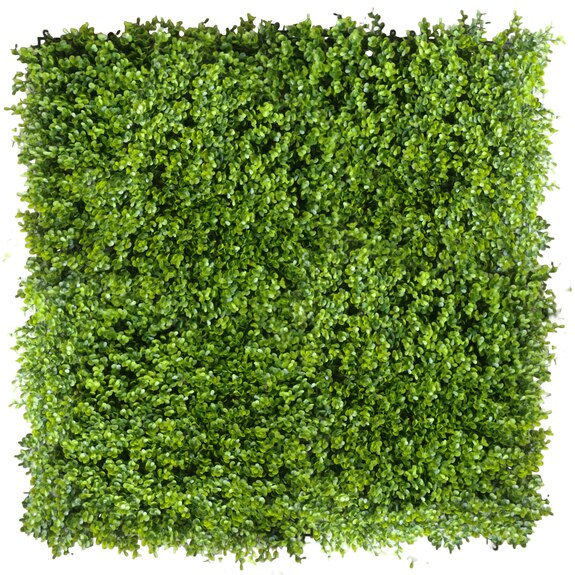 Vertikální zahrada Borówka FR UV