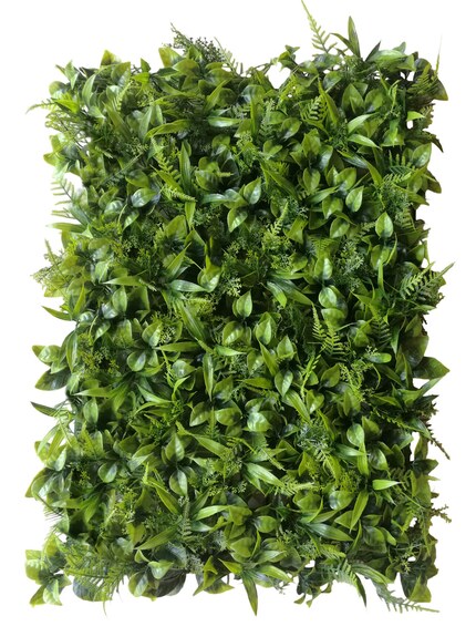 Vertikální zahrada Peperomia