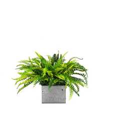 Výplň květináčů pro interiéry - Flamingo