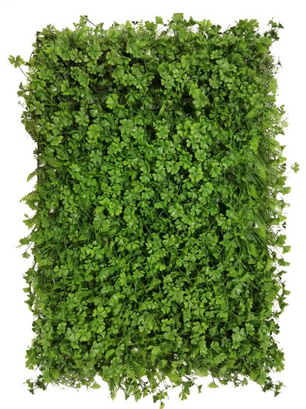 Vertikální zahrada Koniczyna