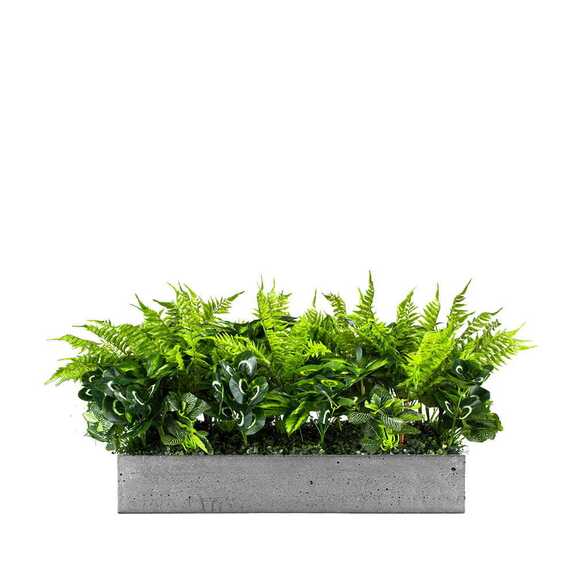 Výplň květináčů pro interiéry - Sunshine spirit