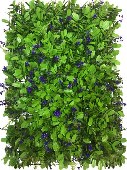 Vertikální zahrada Pomněnka