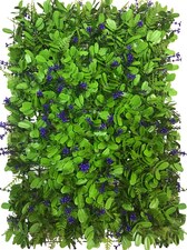 Vertikální zahrada Pomněnka