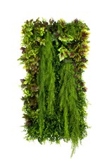 Vertikální zahrada Autumn Leaves