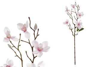 Magnolie UKK209-PINK-LT