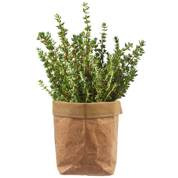 Obal na květináč papír pr. 16 cm