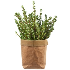 Obal na květináč papír pr. 16 cm