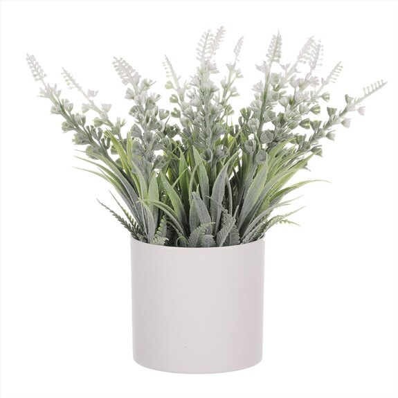 Vřes v obalu SG7328 šedivý