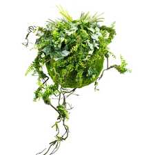 Dekorativní mechová koule GD5164