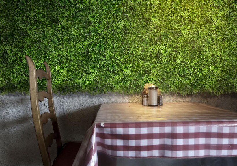 Vertikální zahrada Passiflora