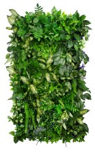 Vertikální zahrada Morning Rustle