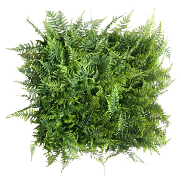 Vertikální zahrada Adiantum UV