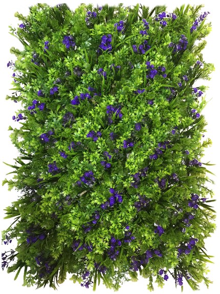 Vertikální zahrada Chrpa