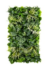 Vertikální zahrada Moose Horns