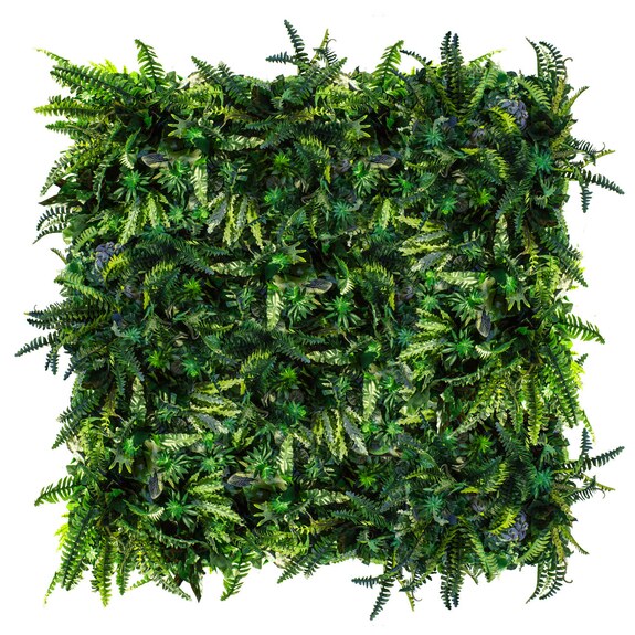 Vertikální zahrada Deepwoods Fern