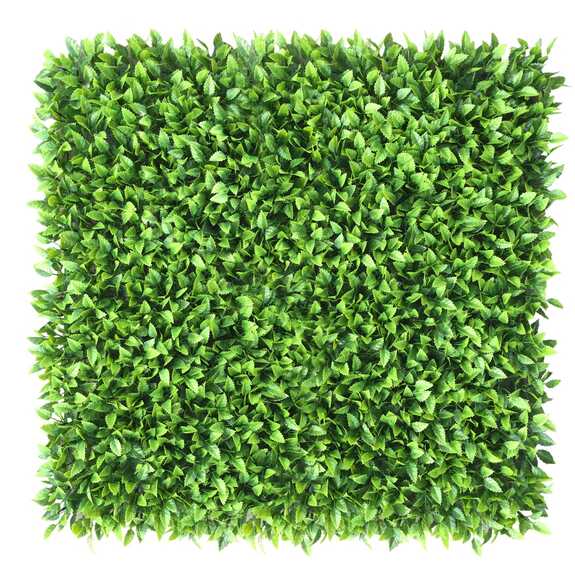 Vertikální zahrada Honkenia