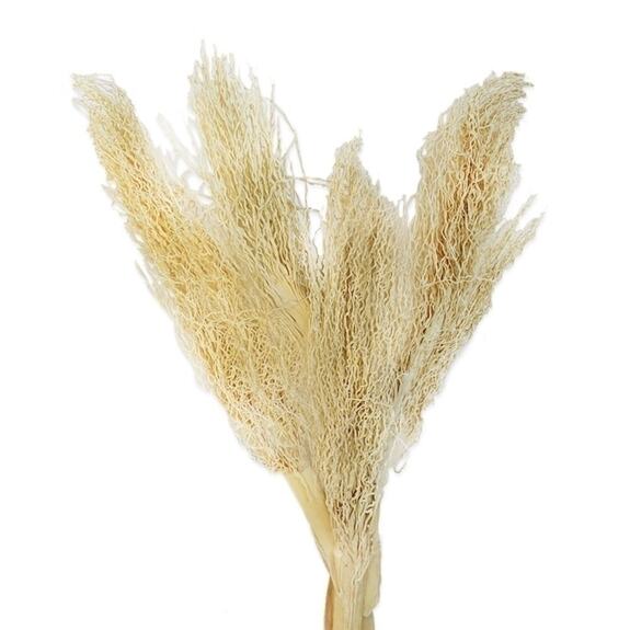 Khejur Jhar 4ks bělený