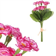 Sedmikráska v pugetu SG60105-BOR