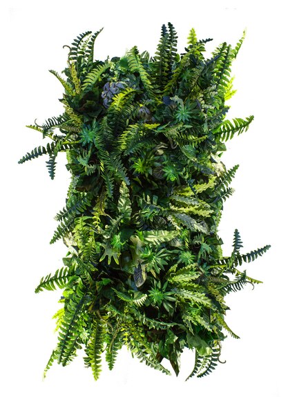 Vertikální zahrada Deepwoods Fern