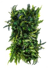 Vertikální zahrada Deepwoods Fern