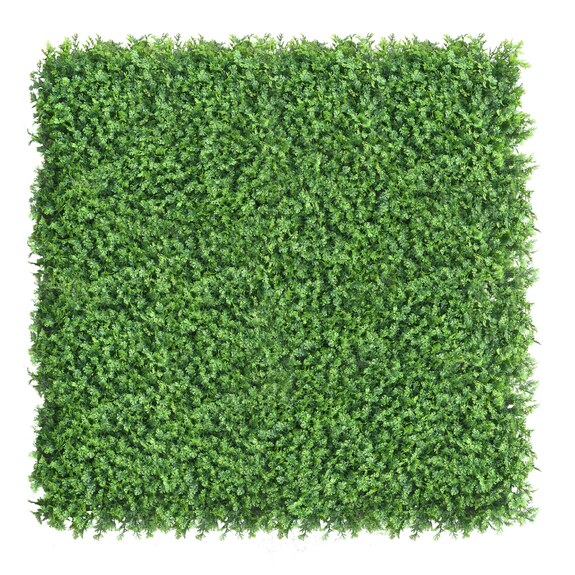 Vertikální zahrada Tuja