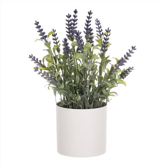 Levandule v obalu, bílý plastový obal SG7327