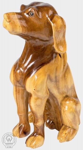 DOG XL - pes ze suaru