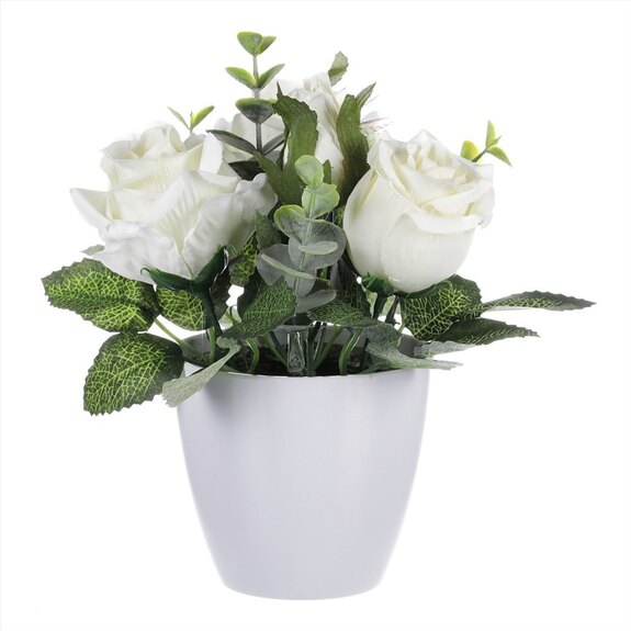 Růžičky v plastovém bílém obalu SG7335