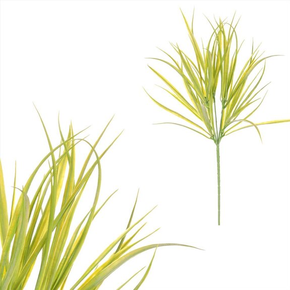 Tráva v trsu. SG60108 GRN