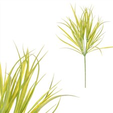 Tráva v trsu. SG60108 GRN