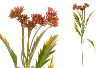 Květina umělá plastová.  Barva červená temná