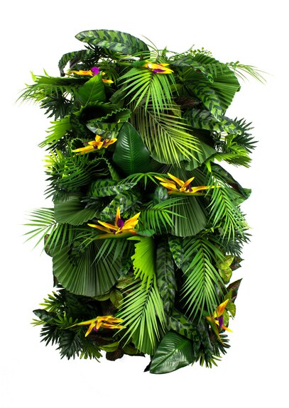 Vertikální zahrada Exotic Vibe