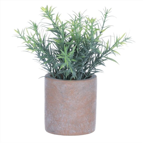 Rozmarýn v obalu, terakotový obal SG7332